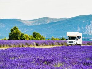 alquiler-de-autocaravanas-en-jaen-campo-lavanda